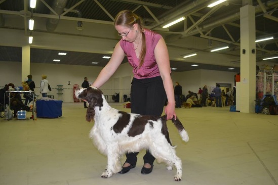 194947-9eec5-84021798-m549x500-u3a342.jp